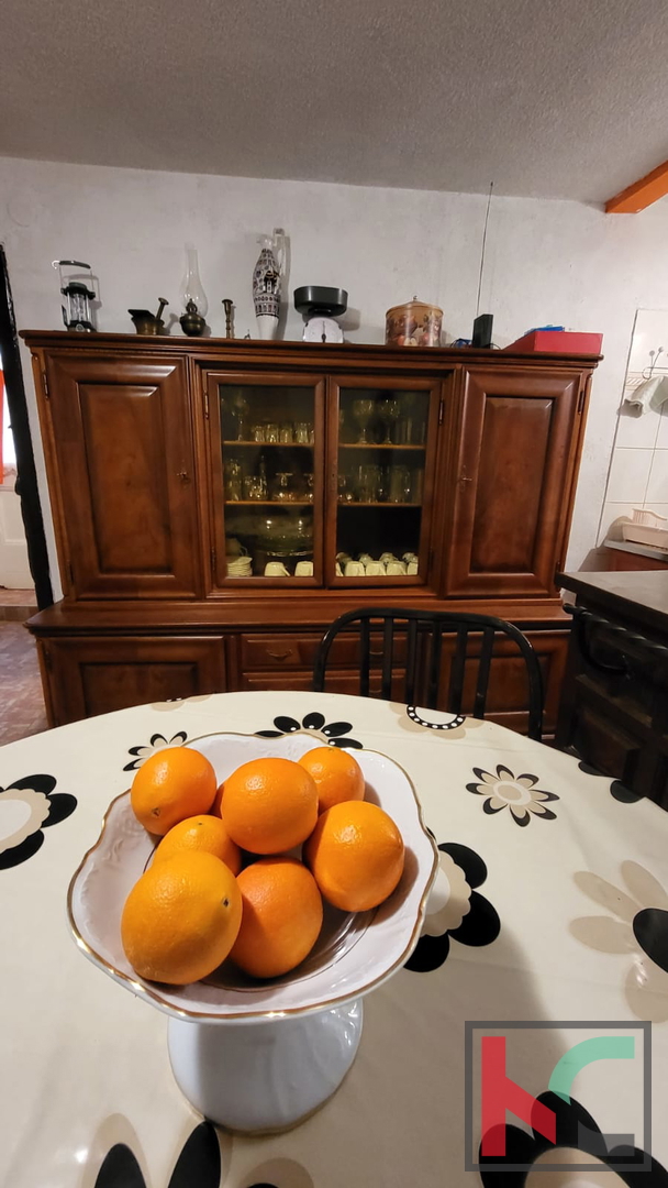 Istra, Pavićini, prenovljena istrska kamnita hiša 198m2