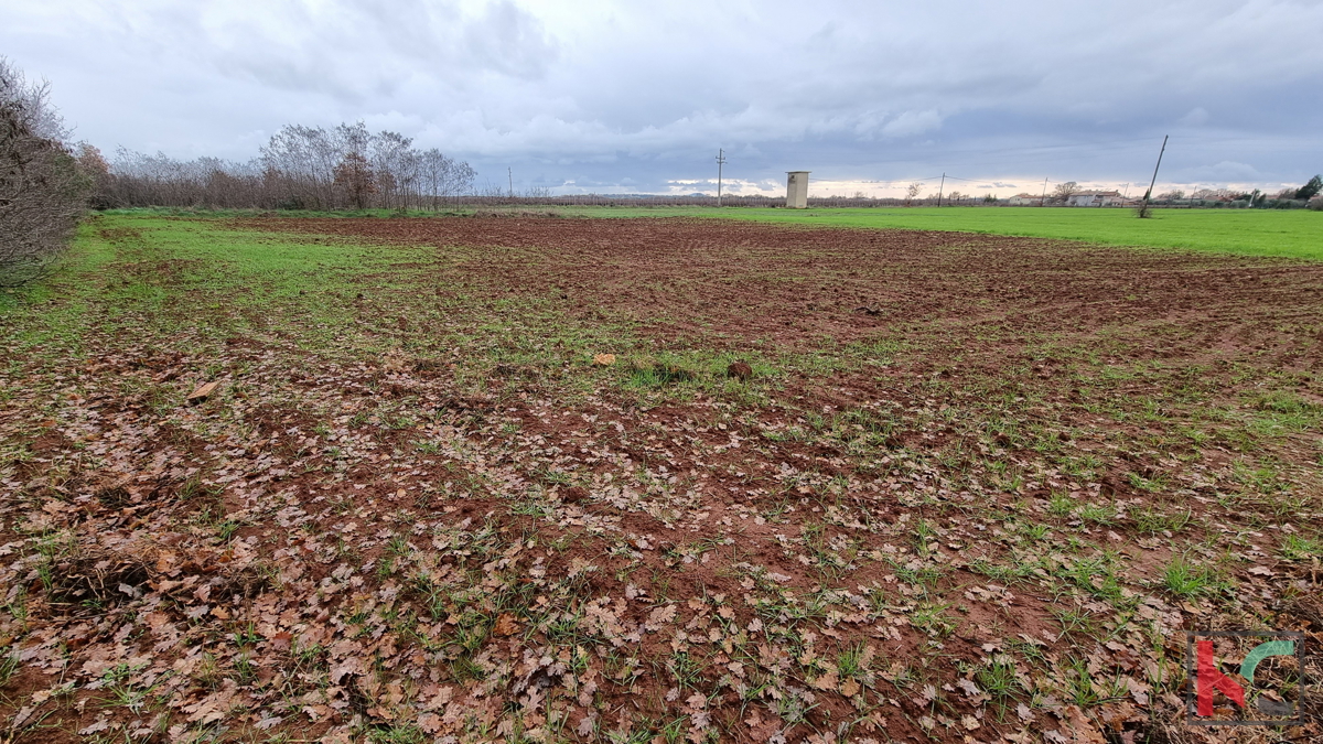 Istra, Loborika, gradbena parcela 2000m2 pravilnega formata