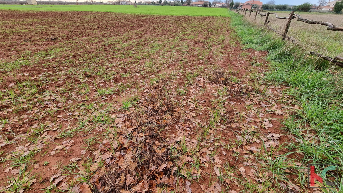 Istra, Loborika, gradbena parcela 2000m2 pravilnega formata