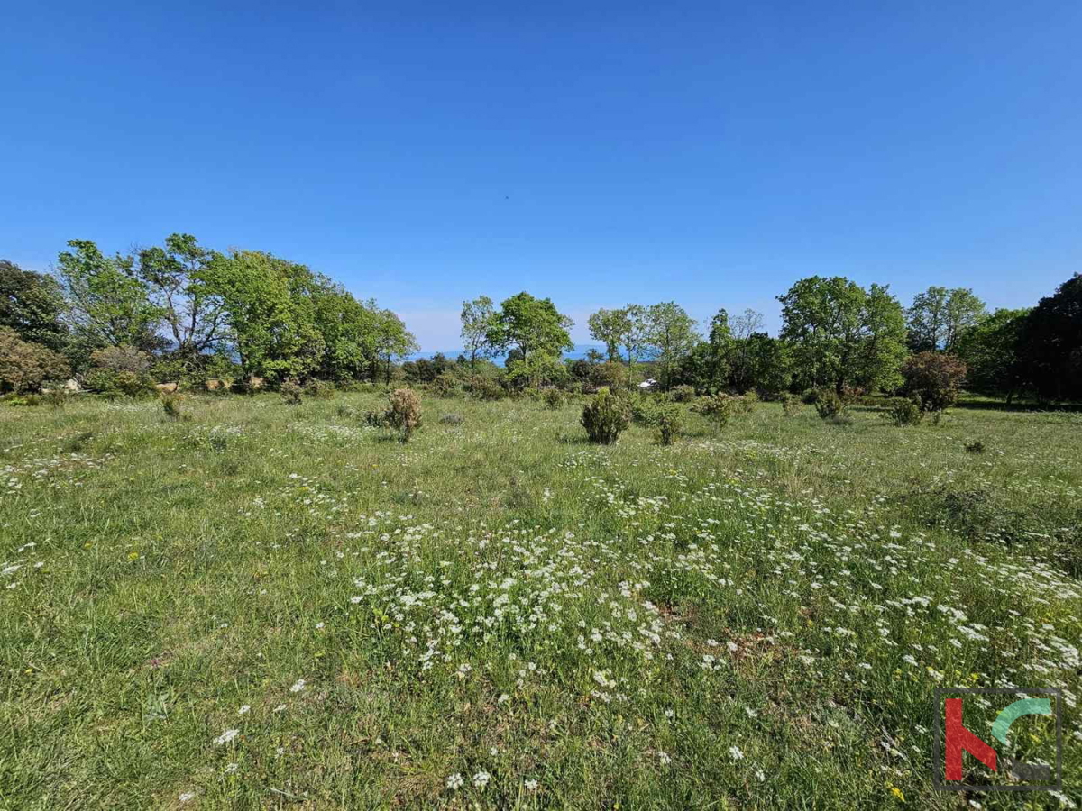 Istra, Peruški, kmetijsko zemljišče 1071m2 #prodaja