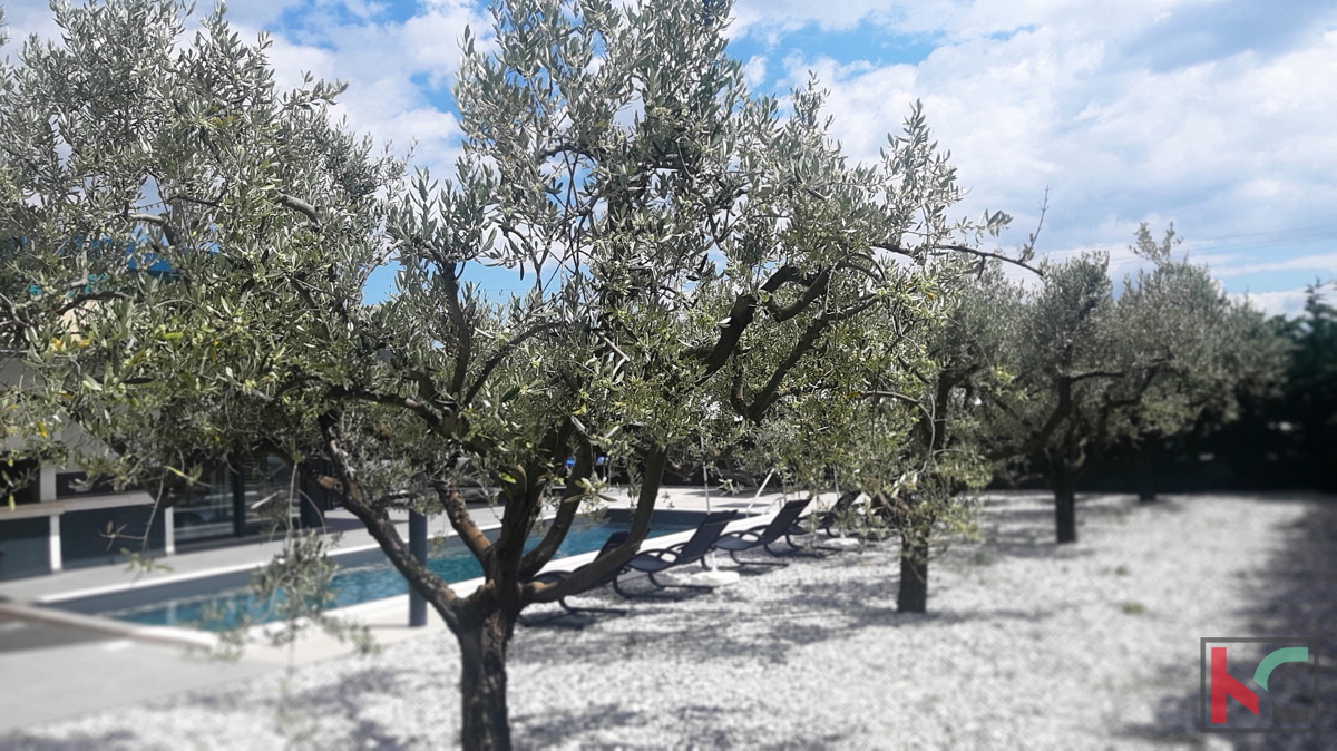 Istra, Višnjan, moderna hiša z bazenom in vrtom, 4 ss, #prodaja