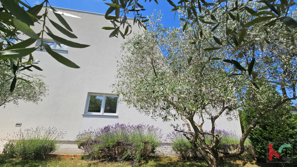 Istra, Žminj, moderna vila z notranjim in zunanjim bazenom 350m2 #prodaja