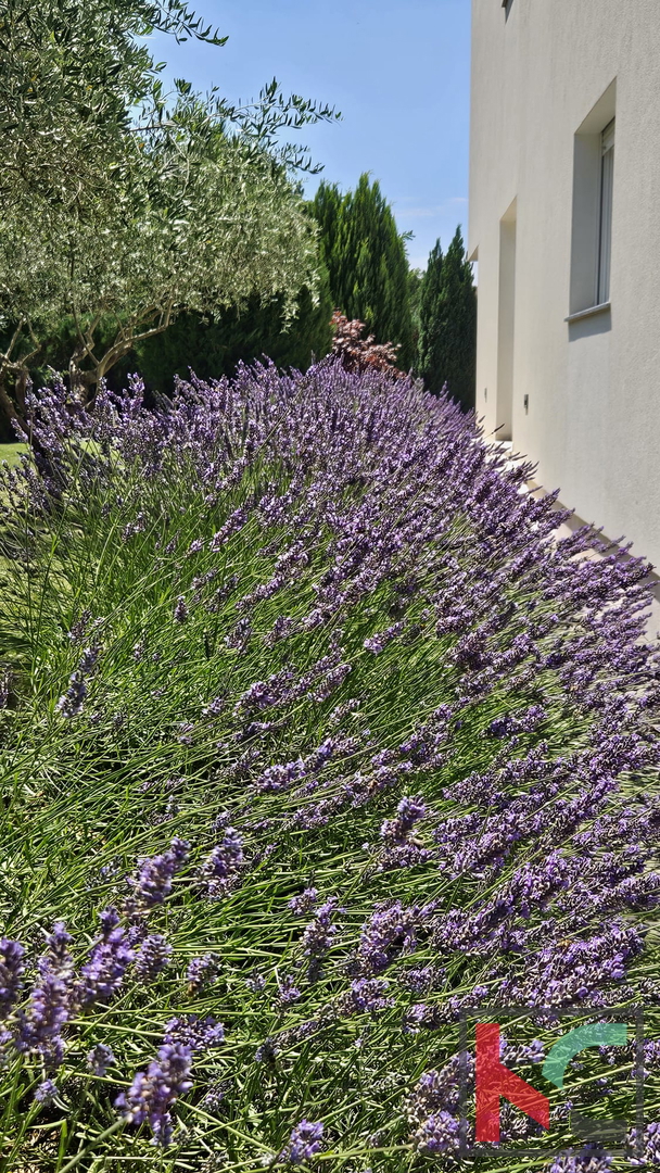 Istra, Žminj, moderna vila z notranjim in zunanjim bazenom 350m2 #prodaja