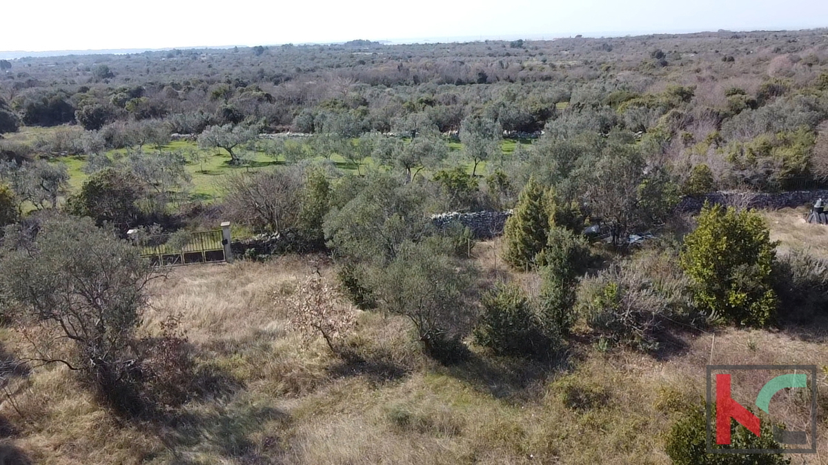 ISTRA, FAŽANA, ZEMLJIŠČE ZA KMETIJSKO NAMEMBO 500 M2, #PRODAJA