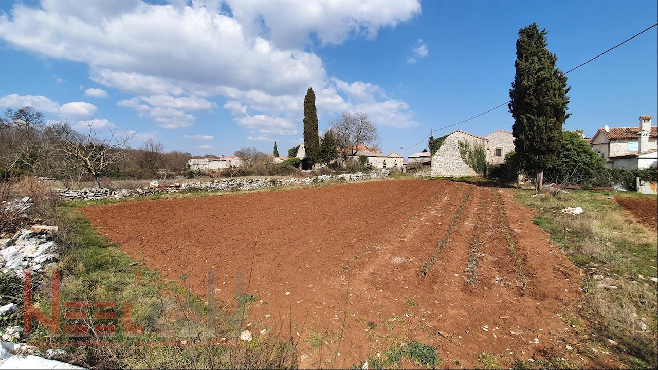 Istra - Barban, 4 stare hiše na prostornem vrtu