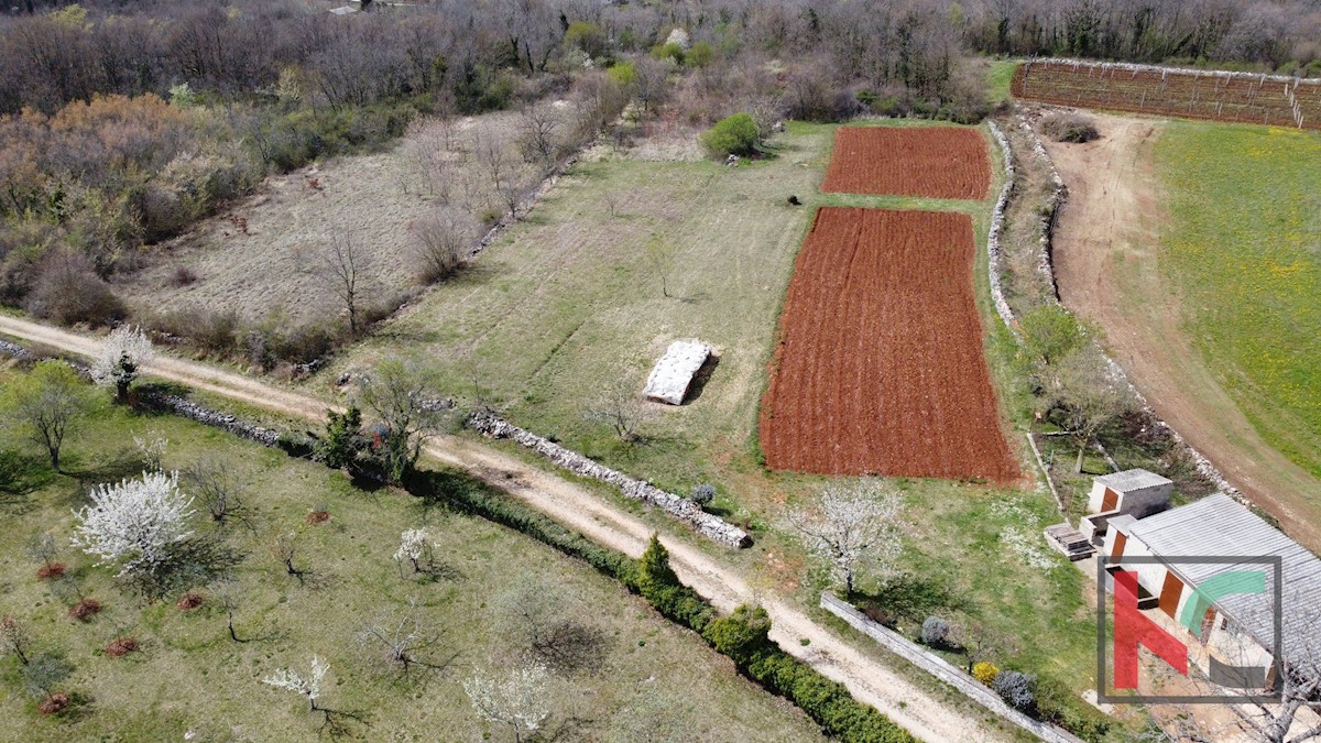 Istra, Sv. Petar u Šumi, moderna počitniška hiša 68m2 z bazenom v gradnji z urejenim vrtom