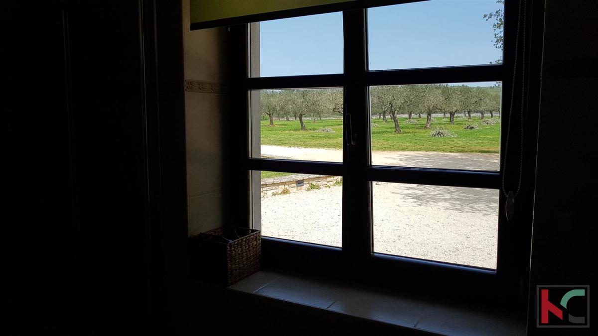 Istra - Bale, Vila z bazenom na parceli 30.550m2