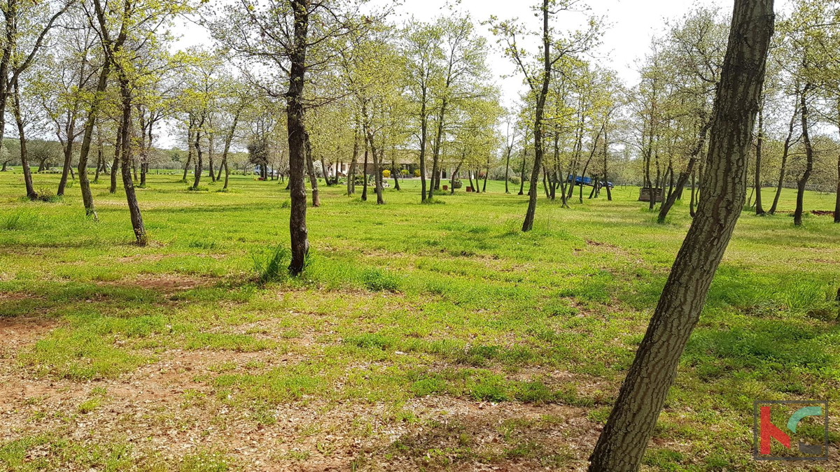 Istra - Bale, Vila z bazenom na parceli 30.550m2