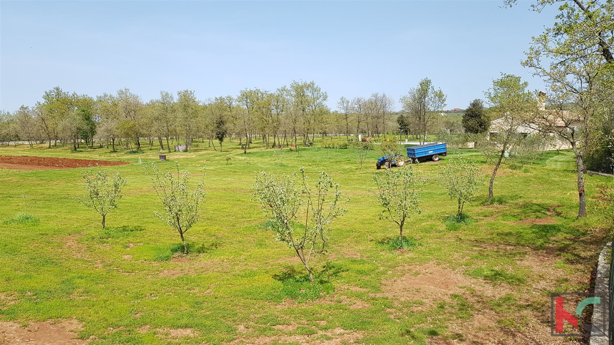 Istra - Bale, Vila z bazenom na parceli 30.550m2