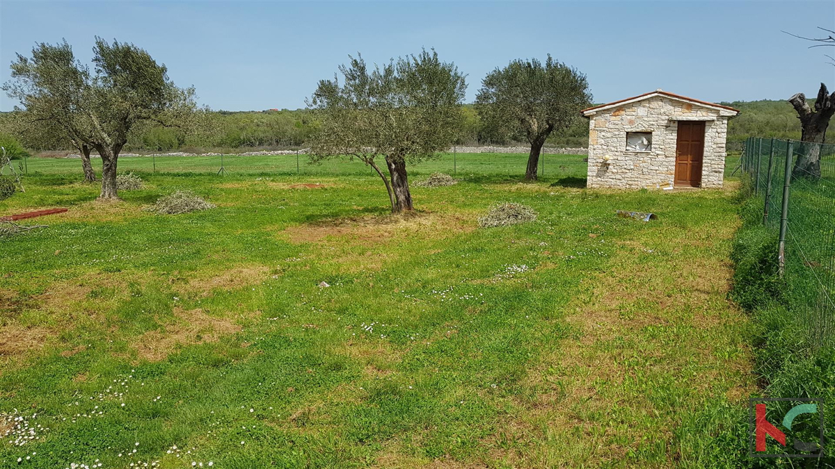 Istra - Bale, Vila z bazenom na parceli 30.550m2