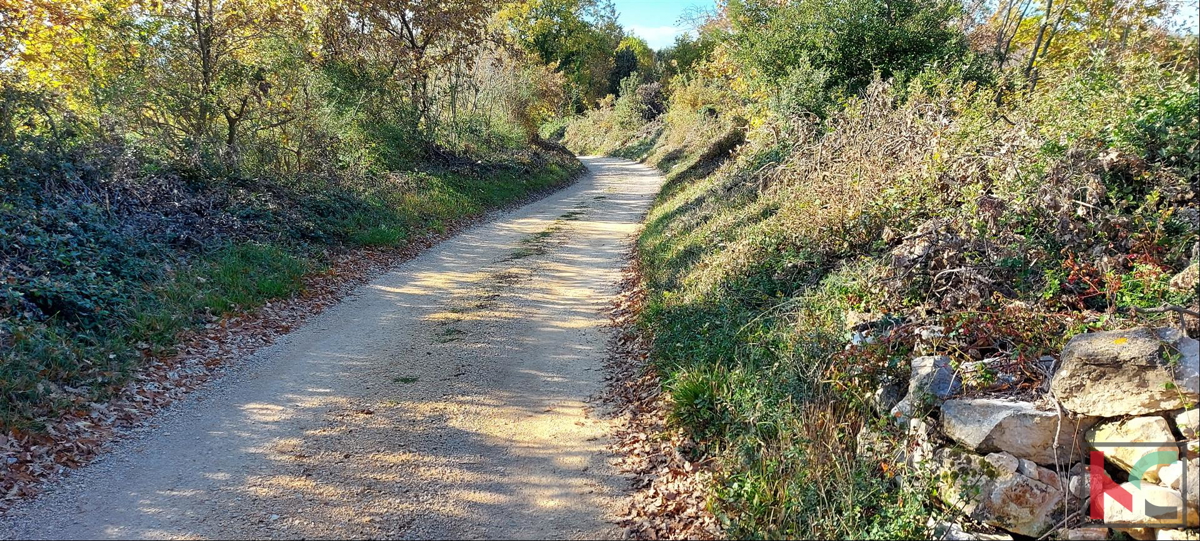 Istra, Rovinj, Palud kmetijsko zemljišče 4128m2