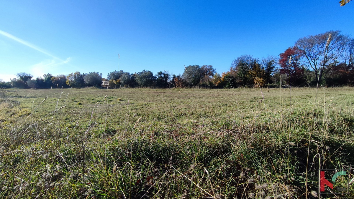 Istra, Peroj, neurbanizirano zemljišče 2942m2 pri Fažani