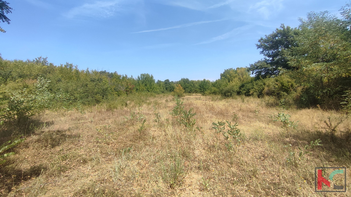 Manjadvorci, zemljišče 970, zemljišče pravilne oblike