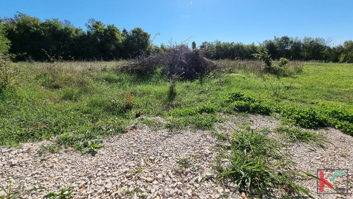 Istra, Loborika, gradbena parcela 892m2 pravilnega formata