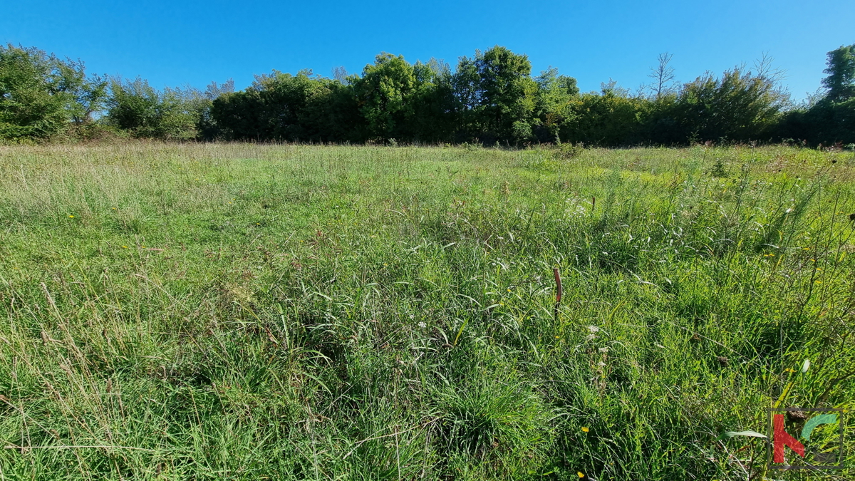 Istra, Loborika, gradbena parcela 892m2 pravilnega formata