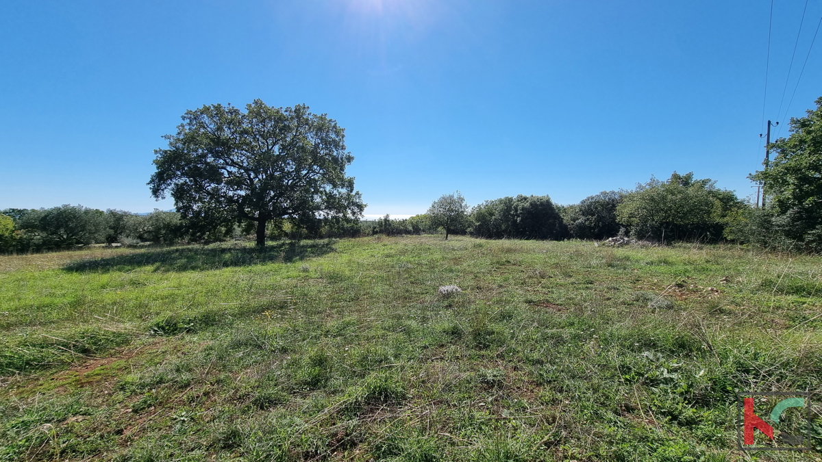Istra, Perugia, gradbeno kmetijsko zemljišče 5932m2 s pogledom na morje