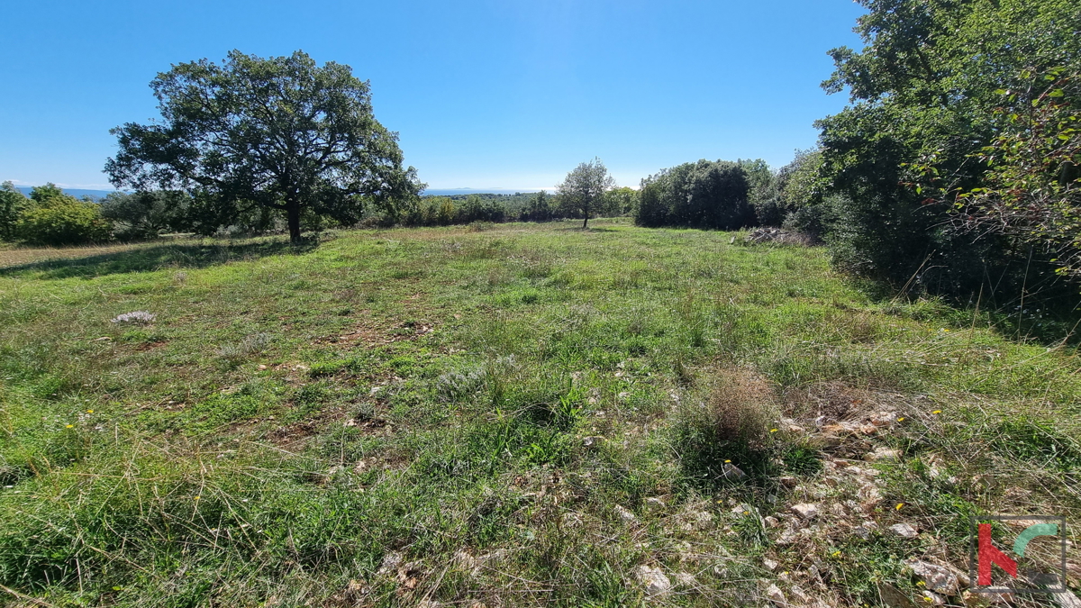 Istra, Perugia, gradbeno kmetijsko zemljišče 5932m2 s pogledom na morje