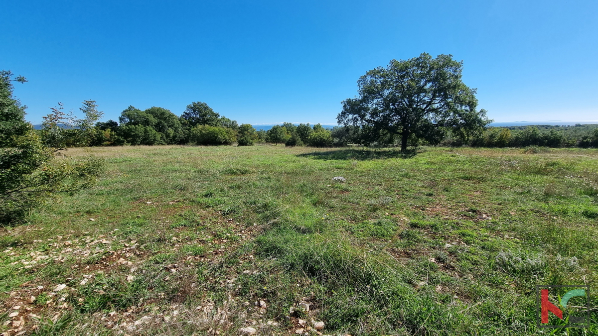 Istra, Perugia, gradbeno kmetijsko zemljišče 5932m2 s pogledom na morje