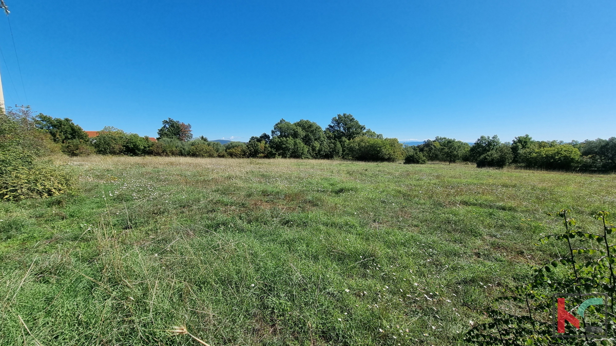 Istra, Perugia, gradbeno kmetijsko zemljišče 5932m2 s pogledom na morje