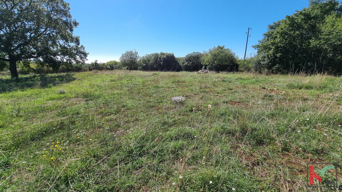 Istra, Perugia, gradbeno kmetijsko zemljišče 5932m2 s pogledom na morje