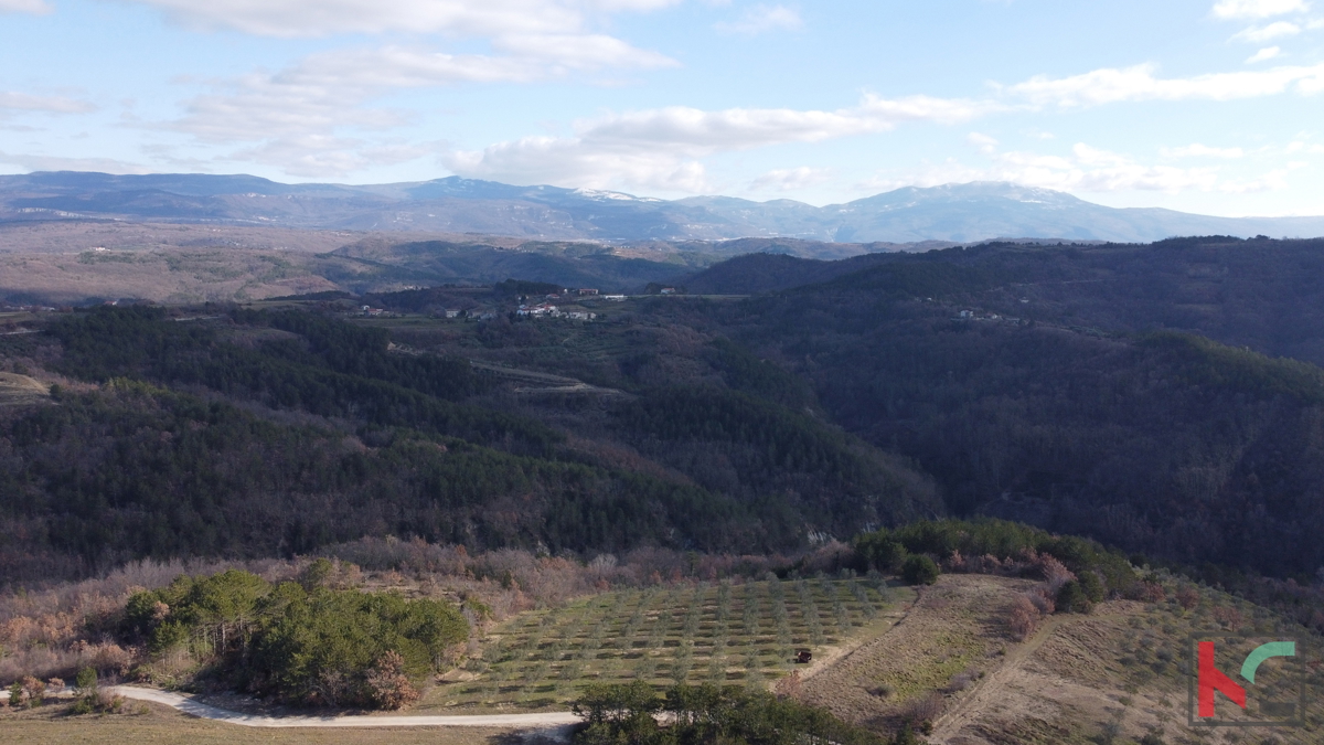 Istra, Vila na 20.000m2 velikem vrtu v bližini slikovite vasice Draguć