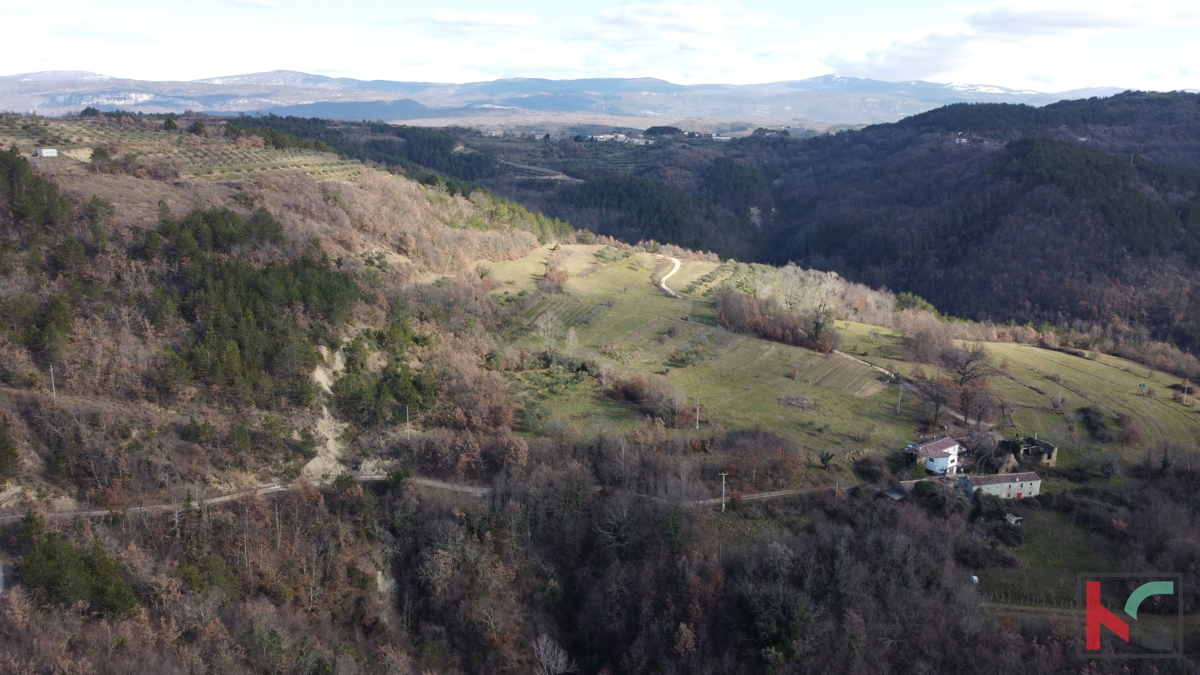 Istra, Vila na 20.000m2 velikem vrtu v bližini slikovite vasice Draguć