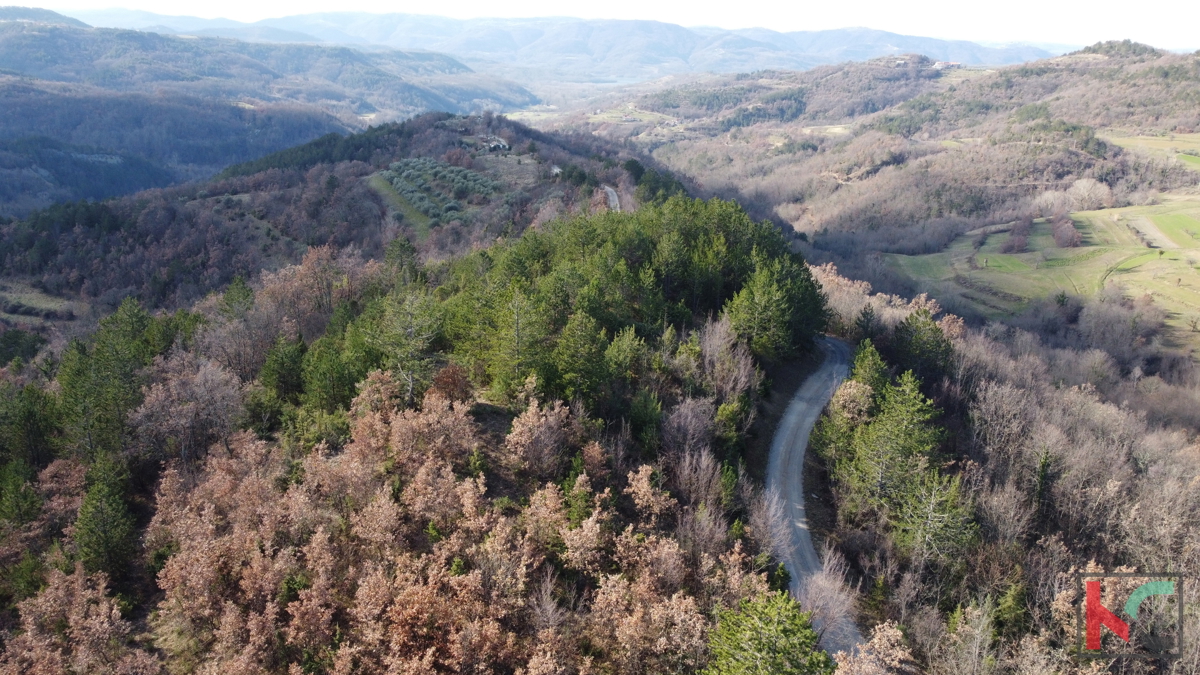 Istra, Vila na 20.000m2 velikem vrtu v bližini slikovite vasice Draguć