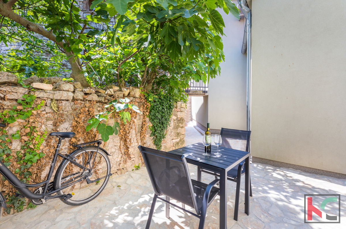 Istra, Ližnjan, Šišan, renovirana kamnita hiša, #prodaja