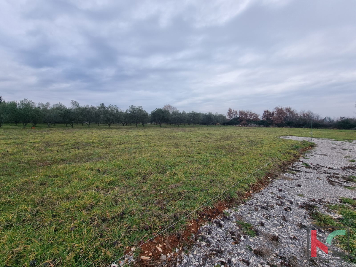 Istra, Loborika, redna gradbena parcela 545m2, #prodaja