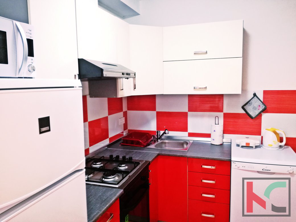Istra, Žminj, samostojna hiša z bazenom 120m2 in velikim vrtom 100m2 #prodaja