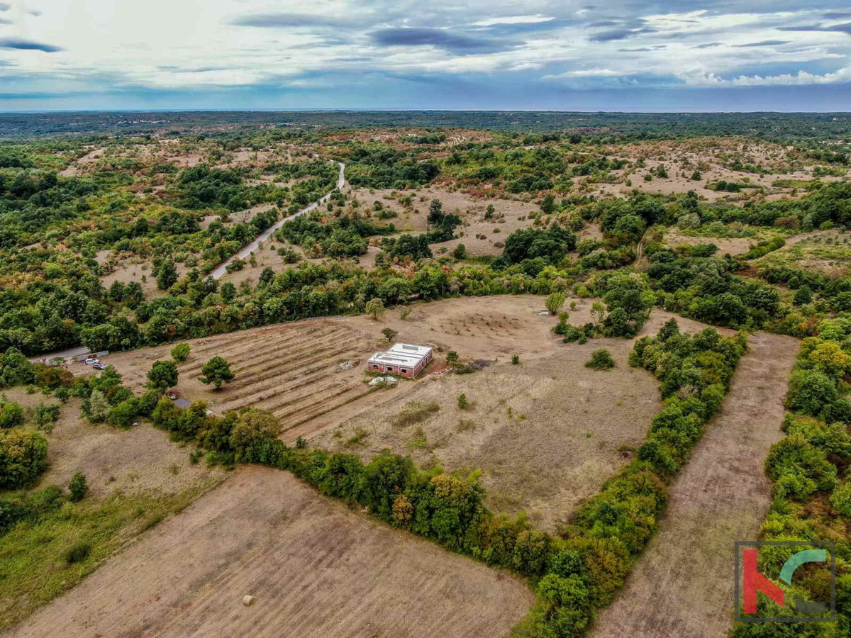 Istra, Barban, posest z rohbau hišo in gradbenim dovoljenjem na zemljišču 14050m2 #prodaja