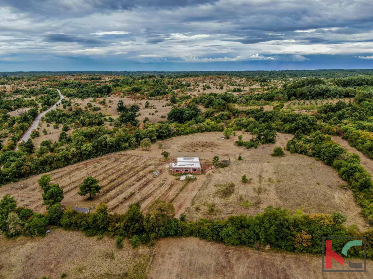 Istra, Barban, posest z rohbau hišo in gradbenim dovoljenjem na zemljišču 14050m2 #prodaja