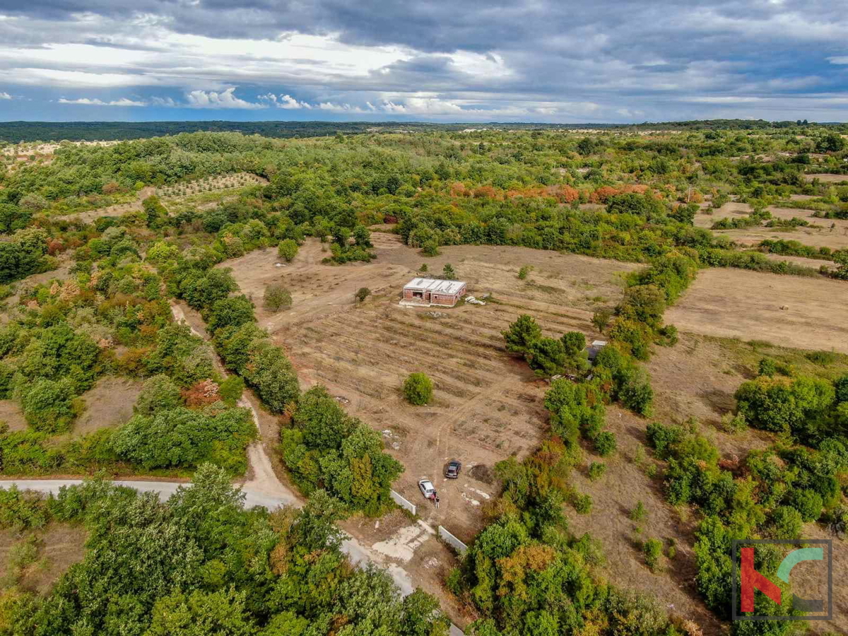 Istra, Barban, posest z rohbau hišo in gradbenim dovoljenjem na zemljišču 14050m2 #prodaja
