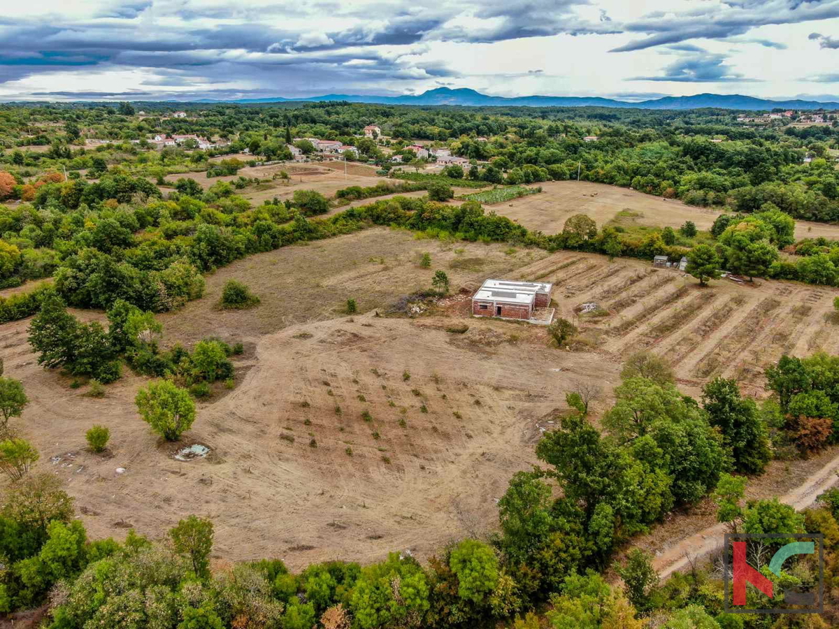 Istra, Barban, posest z rohbau hišo in gradbenim dovoljenjem na zemljišču 14050m2 #prodaja