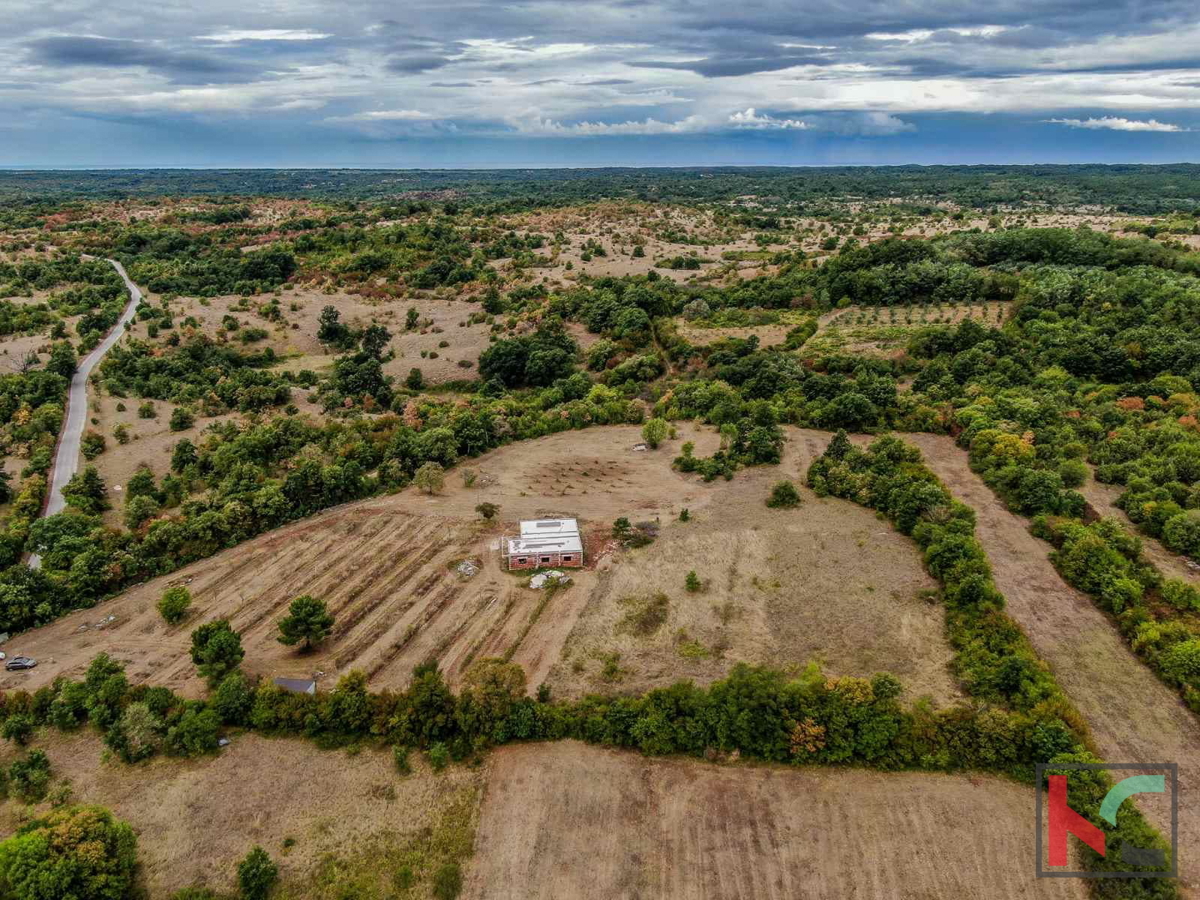 Istra, Barban, posest z rohbau hišo in gradbenim dovoljenjem na zemljišču 14050m2 #prodaja