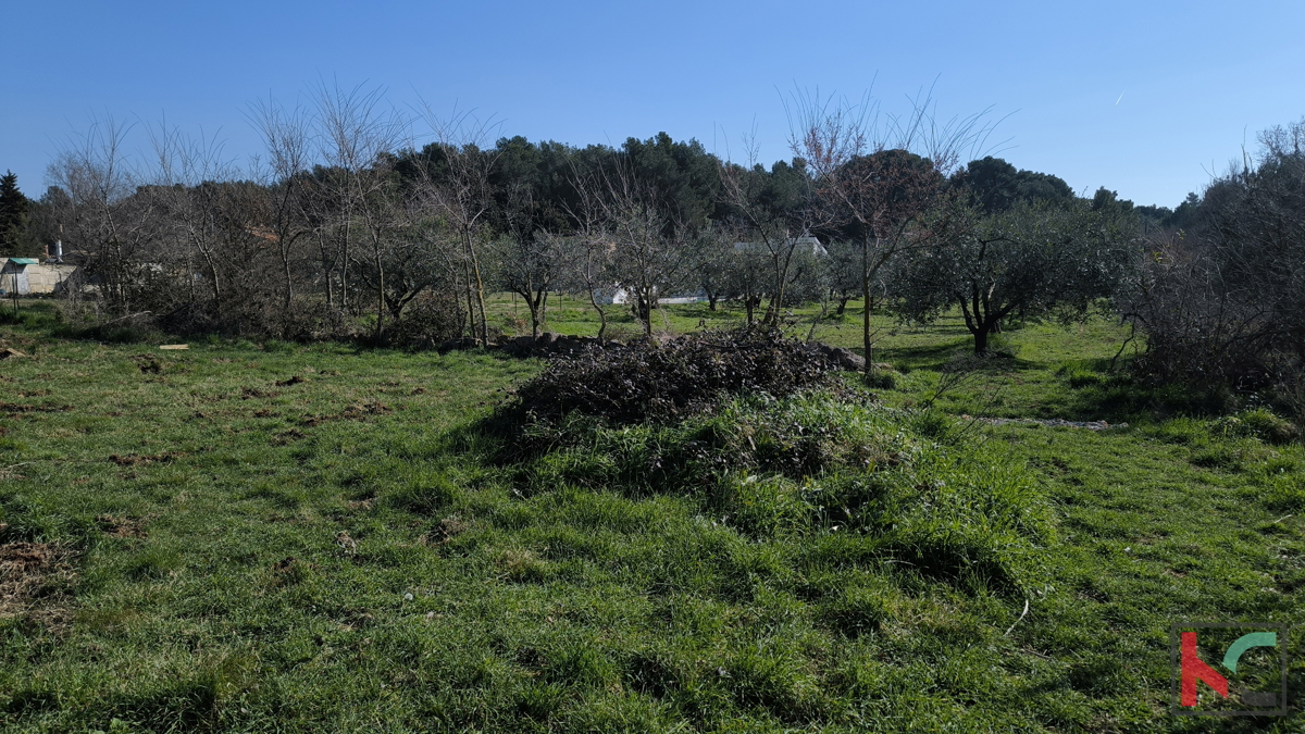 BANJOLE, ZEMLJIŠČE 597 M2 Z DOVOLJENJEM ZA GRADNJO #PRODAJA