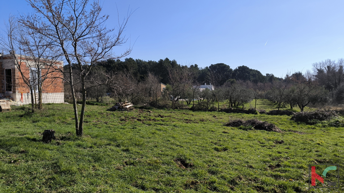 BANJOLE, ZEMLJIŠČE 597 M2 Z DOVOLJENJEM ZA GRADNJO #PRODAJA