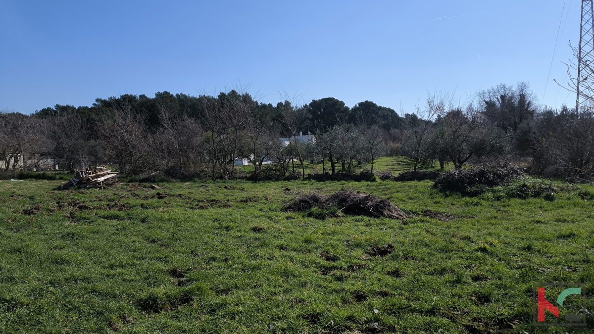 BANJOLE, ZEMLJIŠČE 597 M2 Z DOVOLJENJEM ZA GRADNJO #PRODAJA