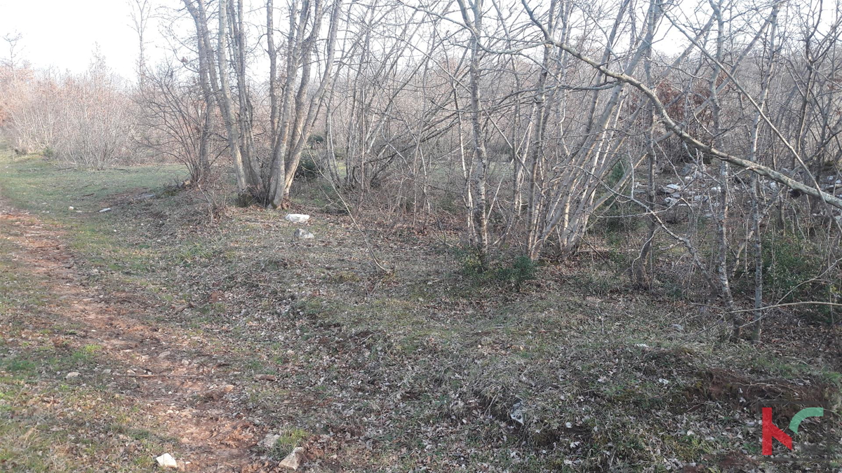 Bale, veliko kmetijsko zemljišče 101.120m2