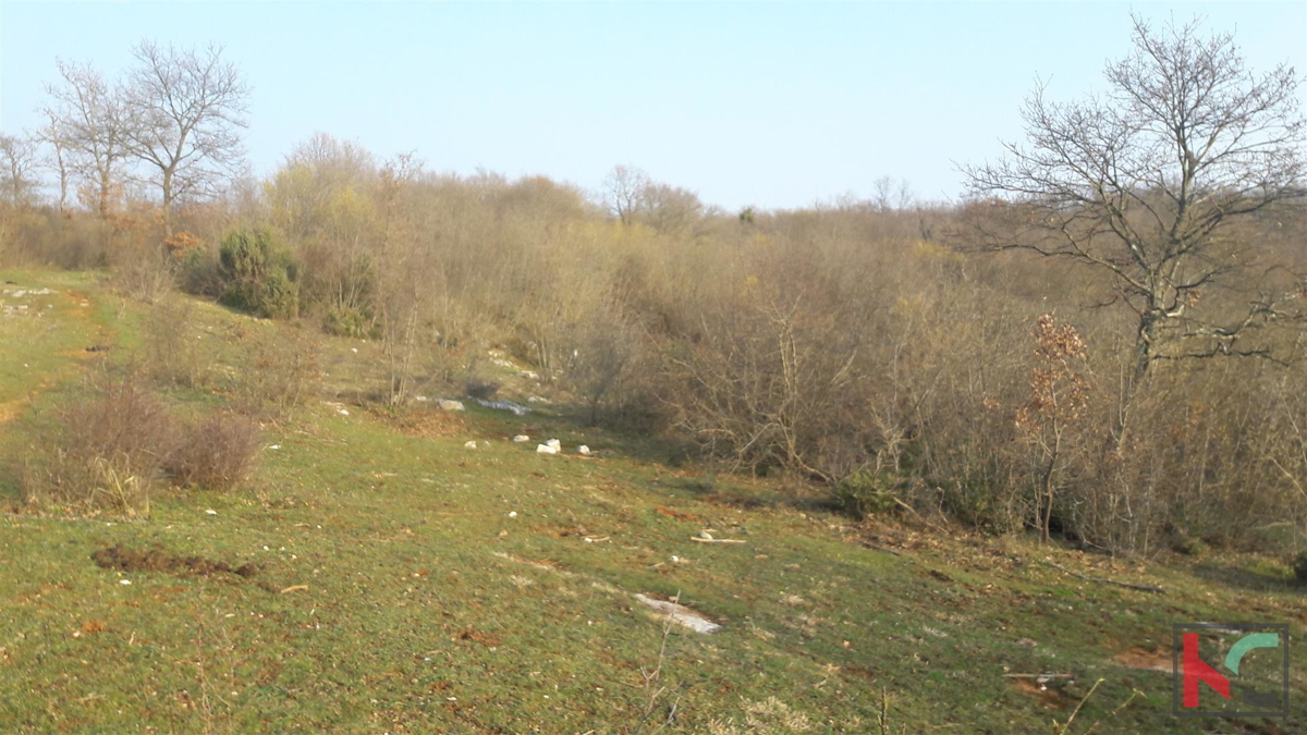 Bale, veliko kmetijsko zemljišče 101.120m2