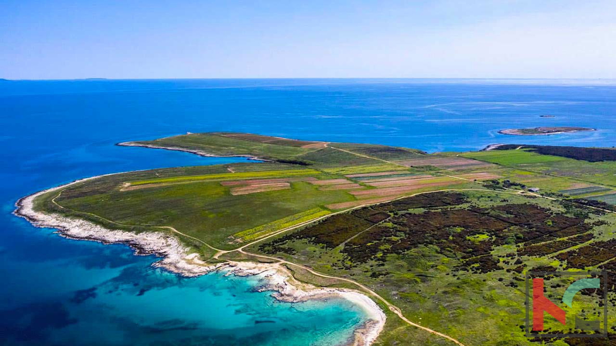 Šišan, luksuzna samostojna počitniška hiša z 270m2 bazenom na 1571m2 parceli, #prodaja