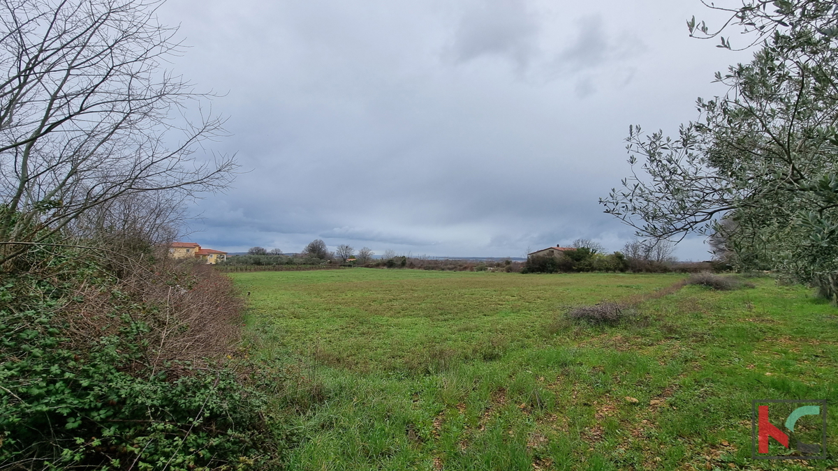 Istra, Marčana, Cokuni gradbeno zemljišče 3352m2 s pogledom na morje