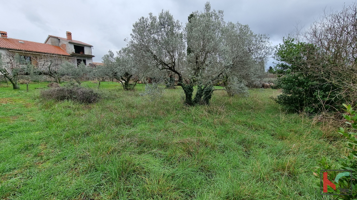 Istra, Marčana, Cokuni gradbeno zemljišče 3352m2 s pogledom na morje