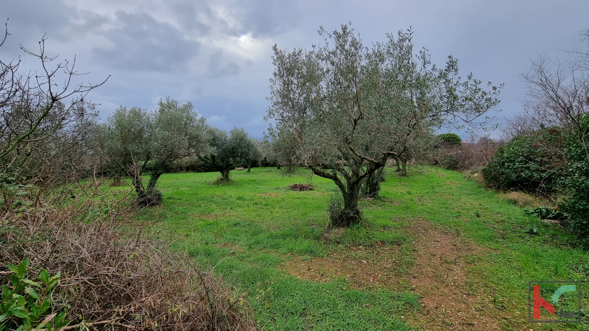 Istra, Marčana, Cokuni gradbeno zemljišče 3352m2 s pogledom na morje