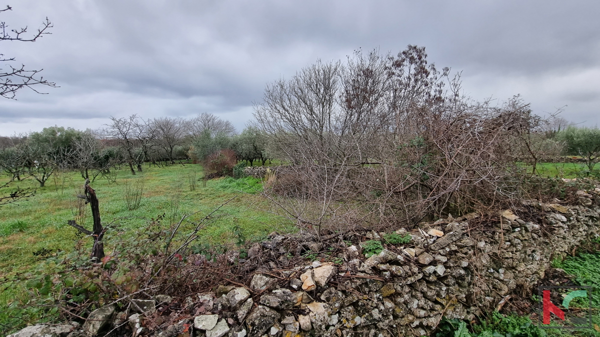 Istra, Marčana, Cokuni gradbeno zemljišče 3352m2 s pogledom na morje