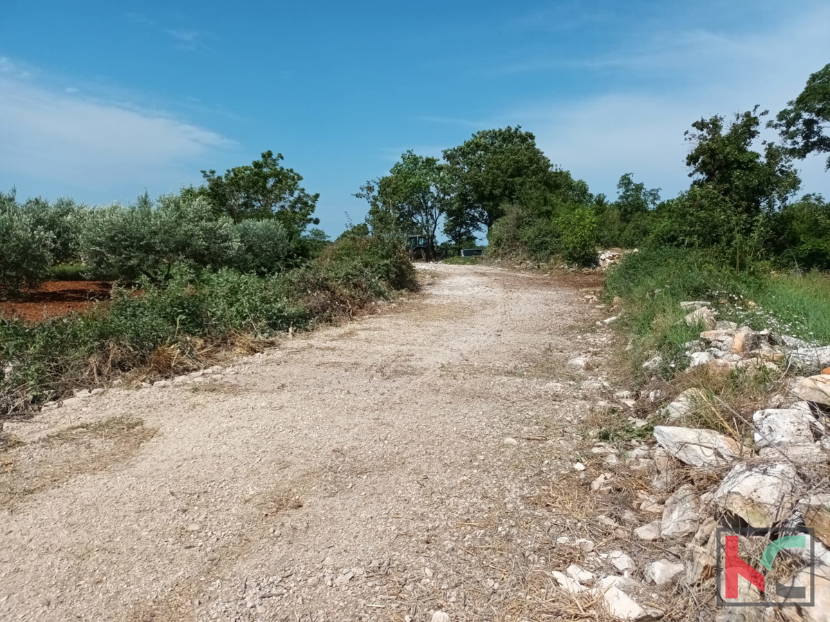 Svetvinčenat, Cukrići, gradbeno kmetijsko zemljišče z idejno zasnovo #prodaja
