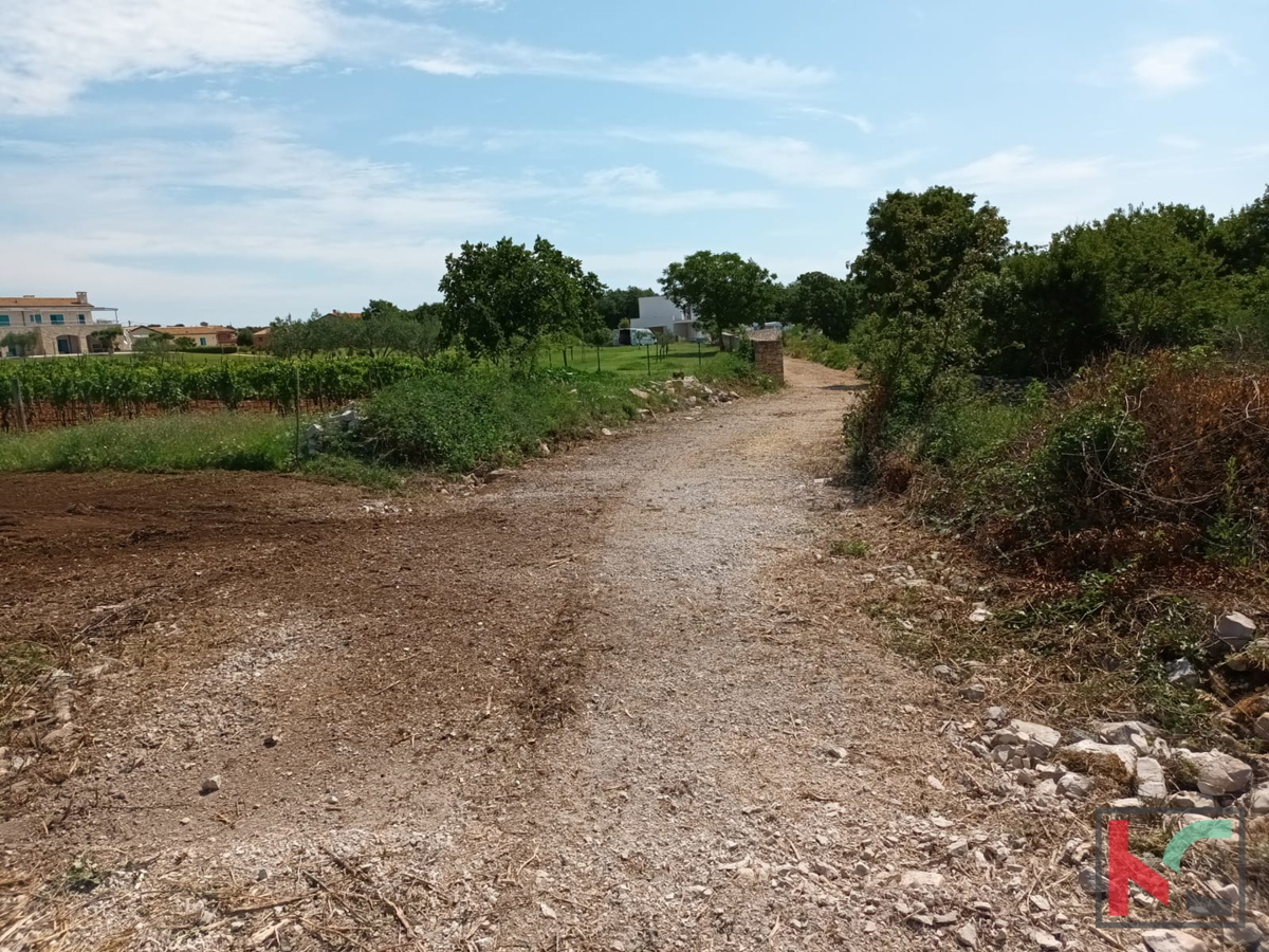 Svetvinčenat, Cukrići, gradbeno kmetijsko zemljišče z idejno zasnovo #prodaja