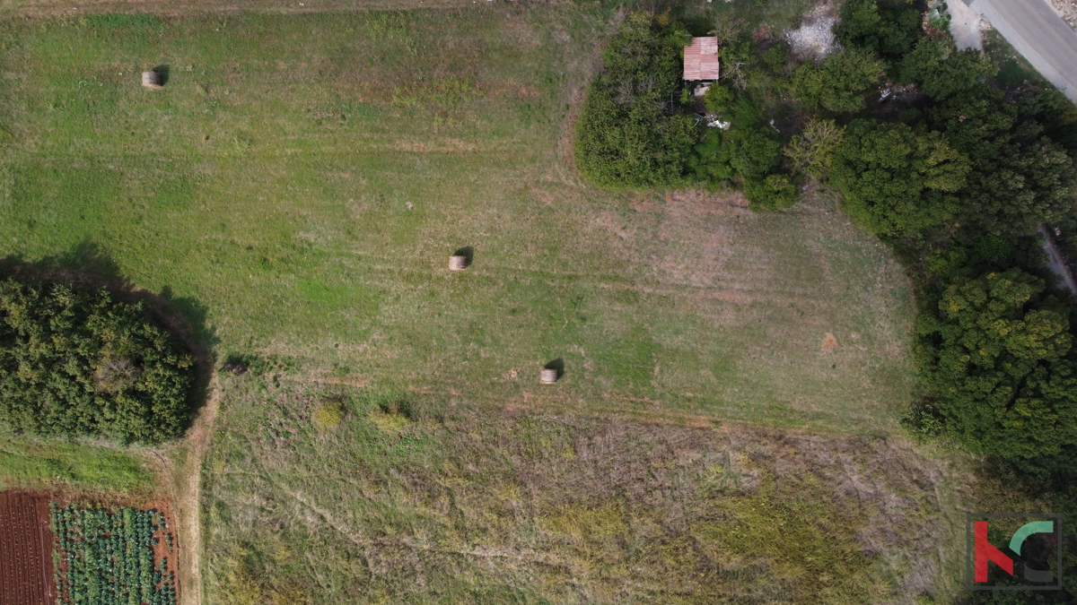 Istra, Vinkuran, neurbanizirano zemljišče 2441m2, #prodaja