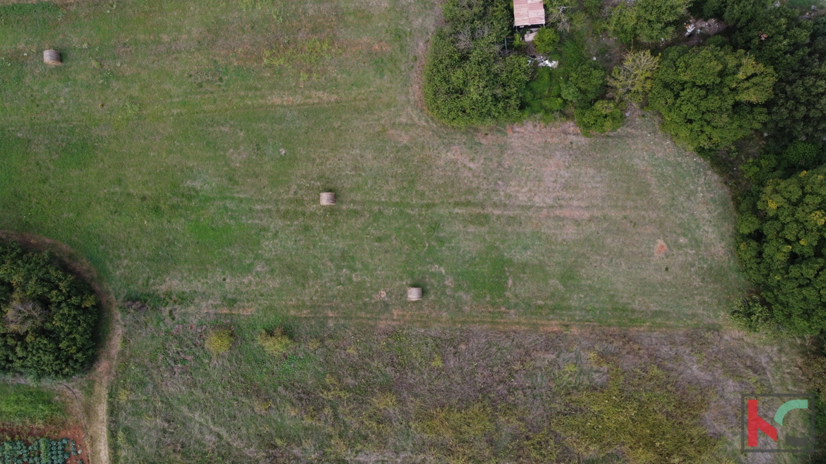 Istra, Vinkuran, neurbanizirano zemljišče 2441m2, #prodaja