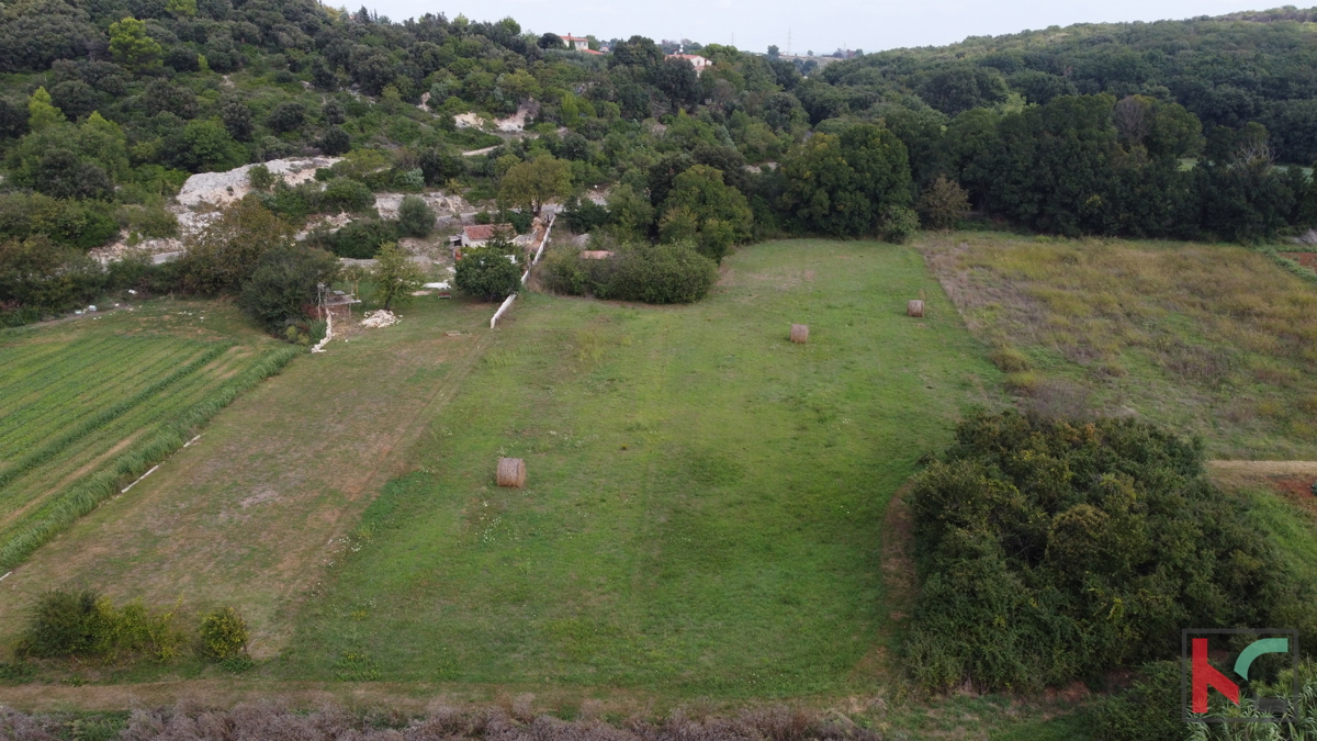 Istra, Vinkuran, neurbanizirano zemljišče 2441m2, #prodaja